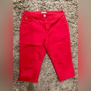 d.jeans Women’s Size 18w Cropped Dark Pink Pants